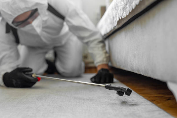 Professional Cockroach Control technician working in Dousman, WI