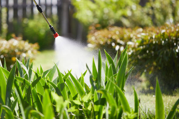 24/7 Emergency Cockroach Control experts in Dousman, WI